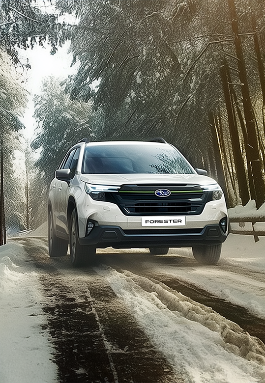 Garage St. Christophe Naters - Subaru Forester